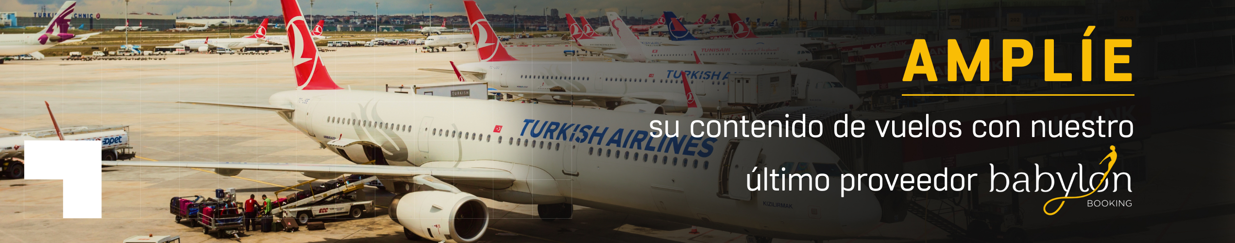 Babylon Booking Flights in IRIX