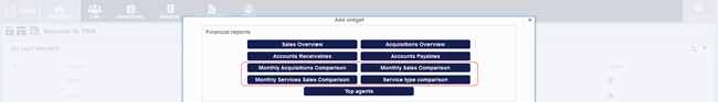 TINA financial reports widgets
